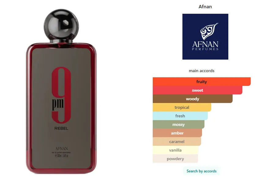 9pm Rebel Afnan 100 ml